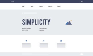 Simplicity of website design