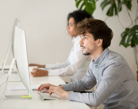 Webefo_Website design Expert